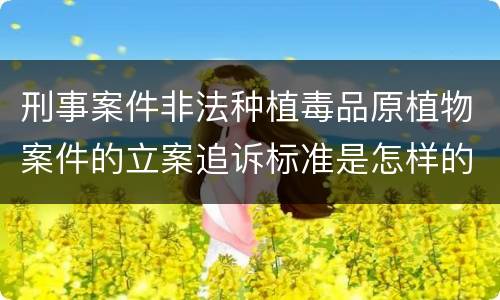 刑事案件非法种植毒品原植物案件的立案追诉标准是怎样的