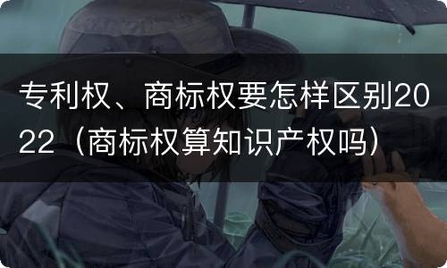 专利权、商标权要怎样区别2022（商标权算知识产权吗）