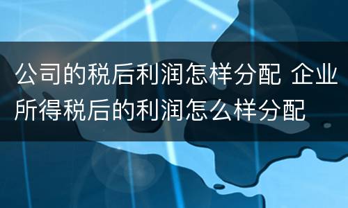 公司的税后利润怎样分配 企业所得税后的利润怎么样分配