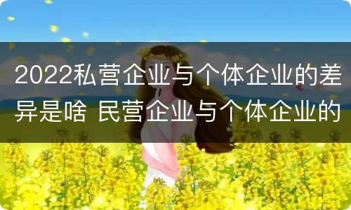 2022私营企业与个体企业的差异是啥 民营企业与个体企业的区别