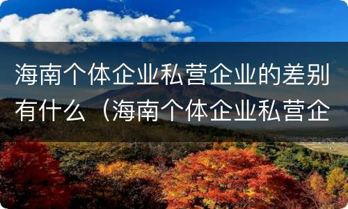 海南个体企业私营企业的差别有什么（海南个体企业私营企业的差别有什么特点）
