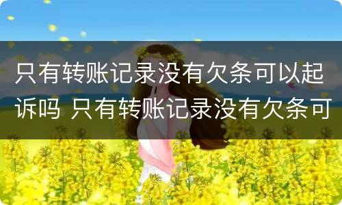只有转账记录没有欠条可以起诉吗 只有转账记录没有欠条可以起诉吗怎么办