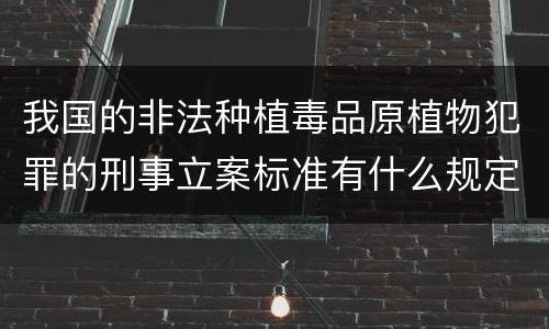 我国的非法种植毒品原植物犯罪的刑事立案标准有什么规定