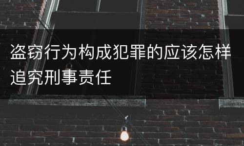 盗窃行为构成犯罪的应该怎样追究刑事责任