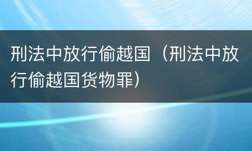 刑法中放行偷越国（刑法中放行偷越国货物罪）