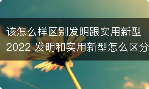 该怎么样区别发明跟实用新型2022 发明和实用新型怎么区分