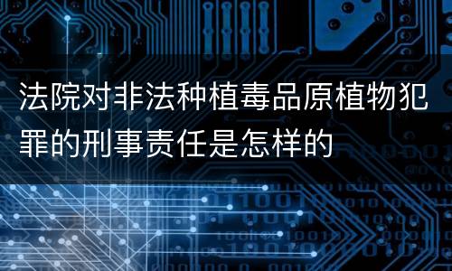 法院对非法种植毒品原植物犯罪的刑事责任是怎样的