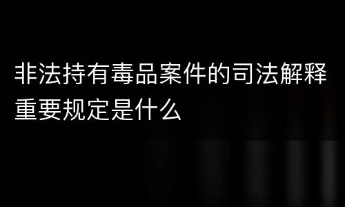 非法持有毒品案件的司法解释重要规定是什么