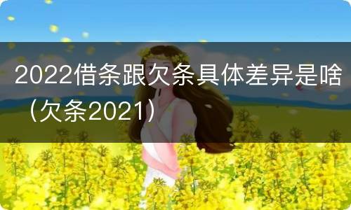 2022借条跟欠条具体差异是啥（欠条2021）