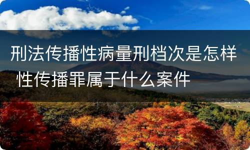 刑法传播性病量刑档次是怎样 性传播罪属于什么案件