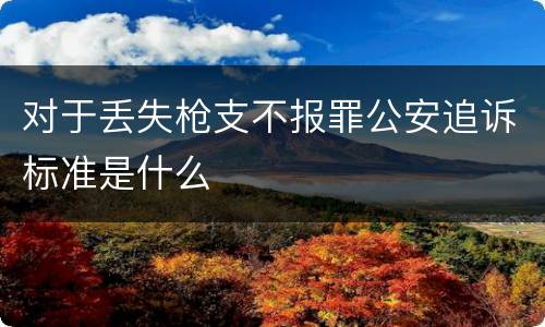 对于丢失枪支不报罪公安追诉标准是什么