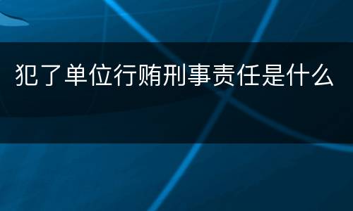 犯了单位行贿刑事责任是什么