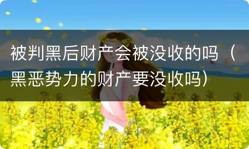 被判黑后财产会被没收的吗（黑恶势力的财产要没收吗）