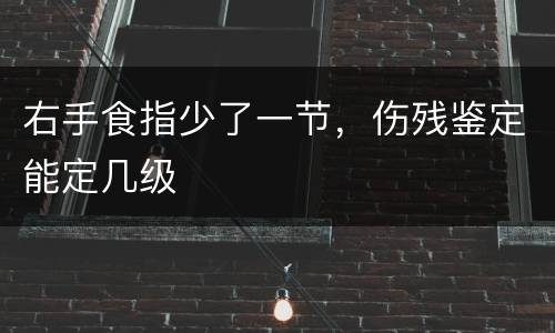 右手食指少了一节,伤残鉴定能定几级