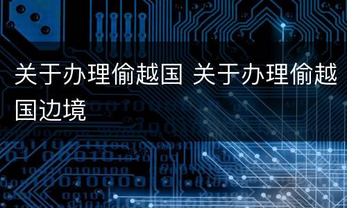关于办理偷越国 关于办理偷越国边境