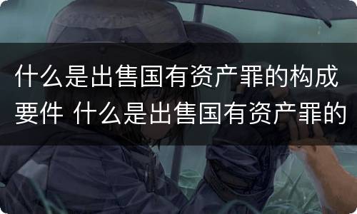 什么是出售国有资产罪的构成要件 什么是出售国有资产罪的构成要件