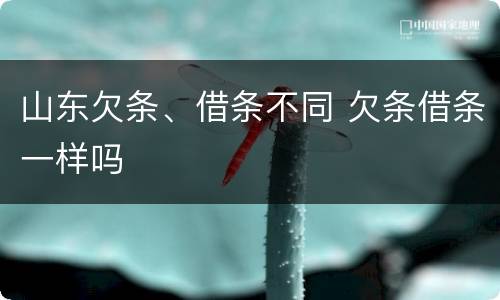 山东欠条、借条不同 欠条借条一样吗