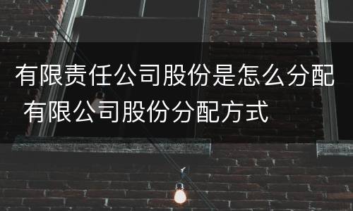 有限责任公司股份是怎么分配 有限公司股份分配方式
