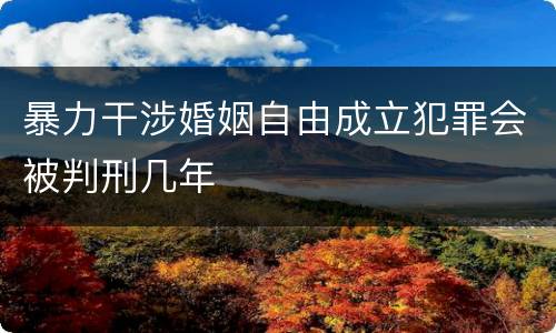 暴力干涉婚姻自由成立犯罪会被判刑几年