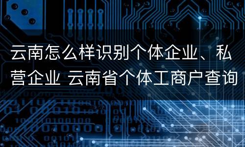云南怎么样识别个体企业、私营企业 云南省个体工商户查询