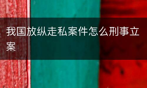 我国放纵走私案件怎么刑事立案