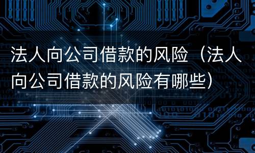 法人向公司借款的风险（法人向公司借款的风险有哪些）