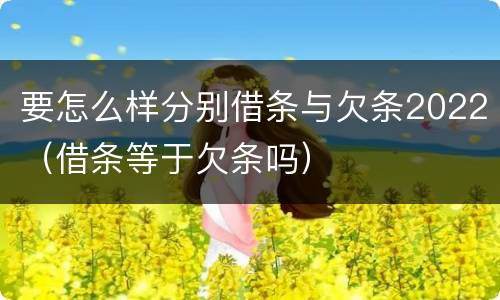 要怎么样分别借条与欠条2022（借条等于欠条吗）