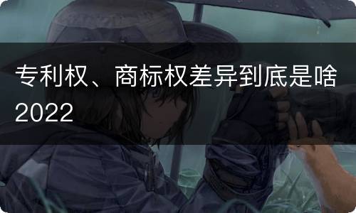 专利权、商标权差异到底是啥2022