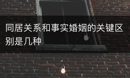同居关系和事实婚姻的关键区别是几种