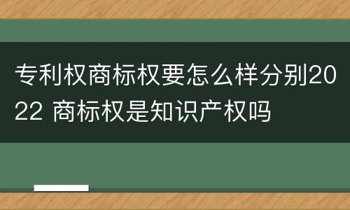 专利权商标权要怎么样分别2022 商标权是知识产权吗
