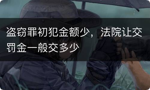 盗窃罪初犯金额少，法院让交罚金一般交多少
