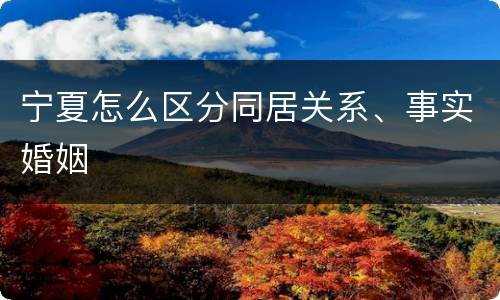 宁夏怎么区分同居关系、事实婚姻