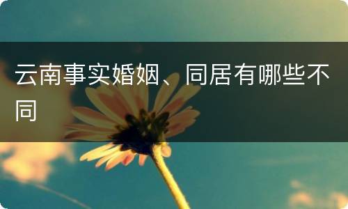 云南事实婚姻、同居有哪些不同