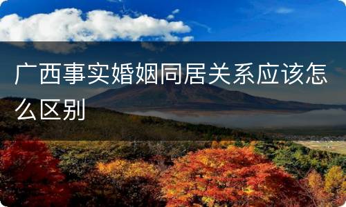 广西事实婚姻同居关系应该怎么区别
