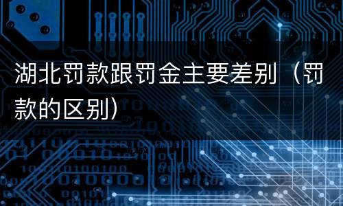 湖北罚款跟罚金主要差别（罚款的区别）
