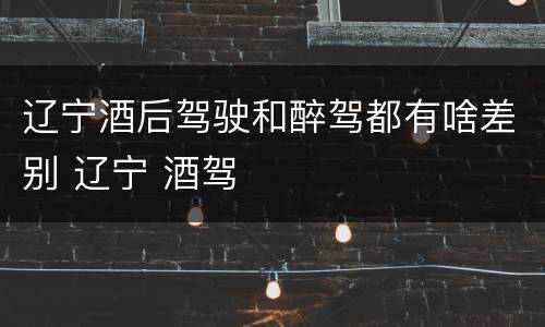 辽宁酒后驾驶和醉驾都有啥差别 辽宁 酒驾