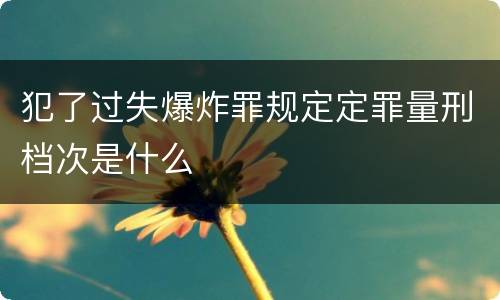 犯了过失爆炸罪规定定罪量刑档次是什么