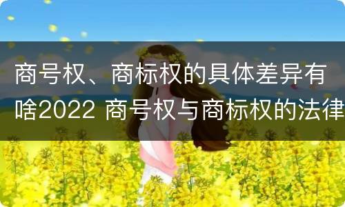 商号权、商标权的具体差异有啥2022 商号权与商标权的法律冲突与解决