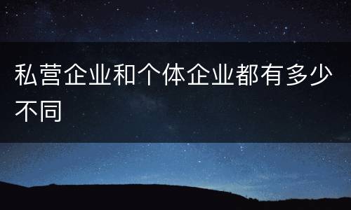 私营企业和个体企业都有多少不同