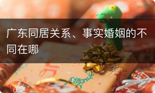 广东同居关系、事实婚姻的不同在哪