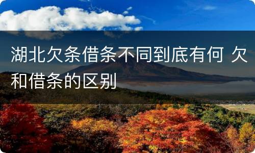 湖北欠条借条不同到底有何 欠和借条的区别