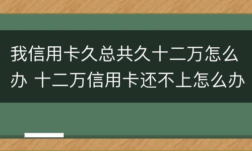 我信用卡久总共久十二万怎么办 十二万信用卡还不上怎么办