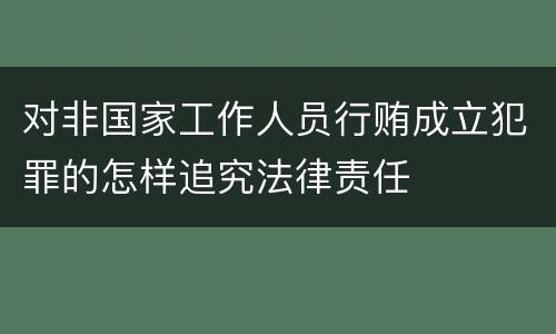 对非国家工作人员行贿成立犯罪的怎样追究法律责任
