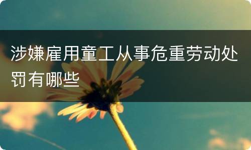 涉嫌雇用童工从事危重劳动处罚有哪些