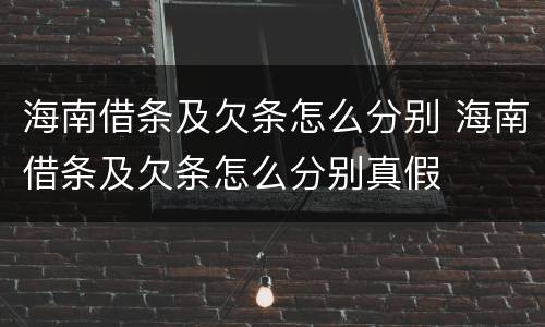 海南借条及欠条怎么分别 海南借条及欠条怎么分别真假