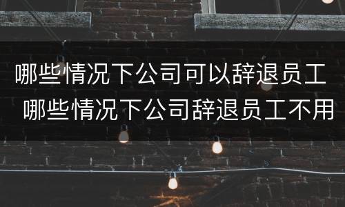 哪些情况下公司可以辞退员工 哪些情况下公司辞退员工不用赔偿