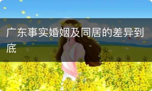 广东事实婚姻及同居的差异到底