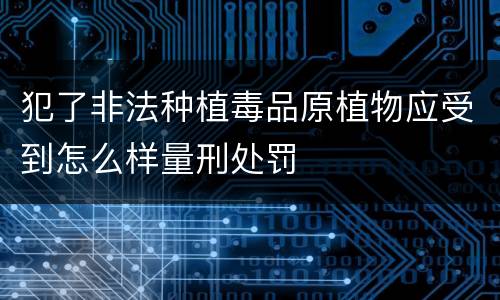 犯了非法种植毒品原植物应受到怎么样量刑处罚