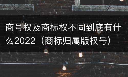 商号权及商标权不同到底有什么2022（商标归属版权号）