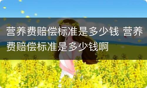 营养费赔偿标准是多少钱 营养费赔偿标准是多少钱啊